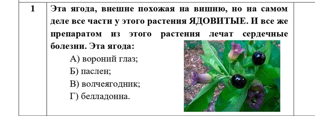 ОБЖ 9_Задания_page-0003
